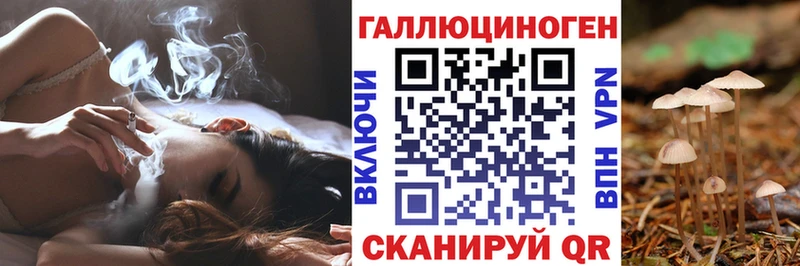 Купить  Юрга  Галлюциногенные грибы прущие грибы 